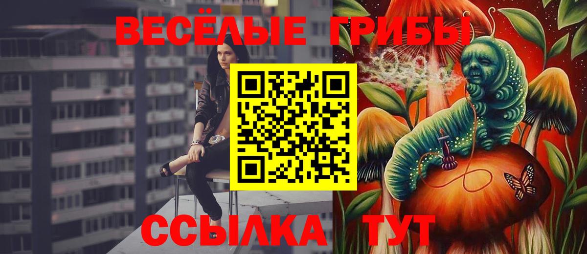 Советск  Галлюциногенные грибы мицелий  Вход с VPN 